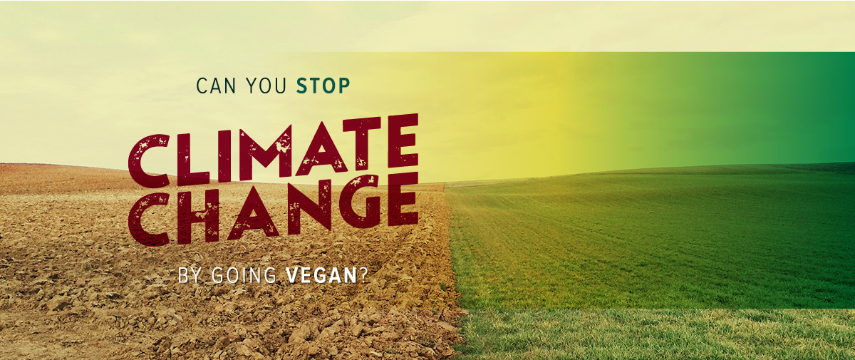 Can You Stop Climate Change by Going Vegan
