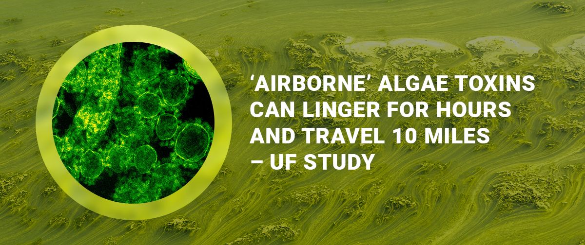 Airborne algae toxins can linger for hours and travel 10 miles UF study